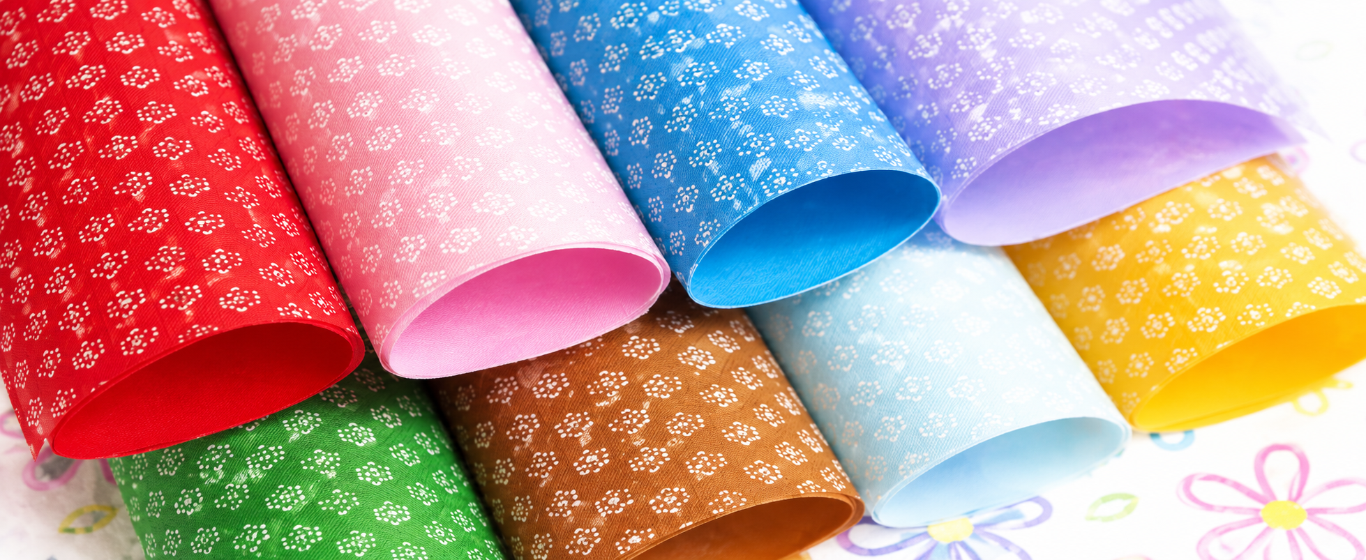 BOPP Laminated Non-Woven Fabric